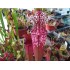 Sarracenia "Stevensii"