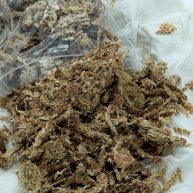Sphagnum deshidratado Fibras largas