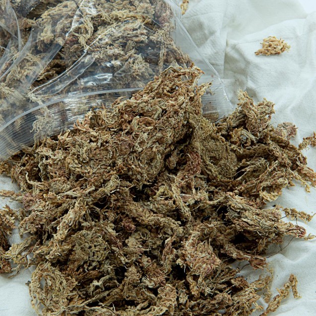 Sphagnum deshidratado Fibras largas