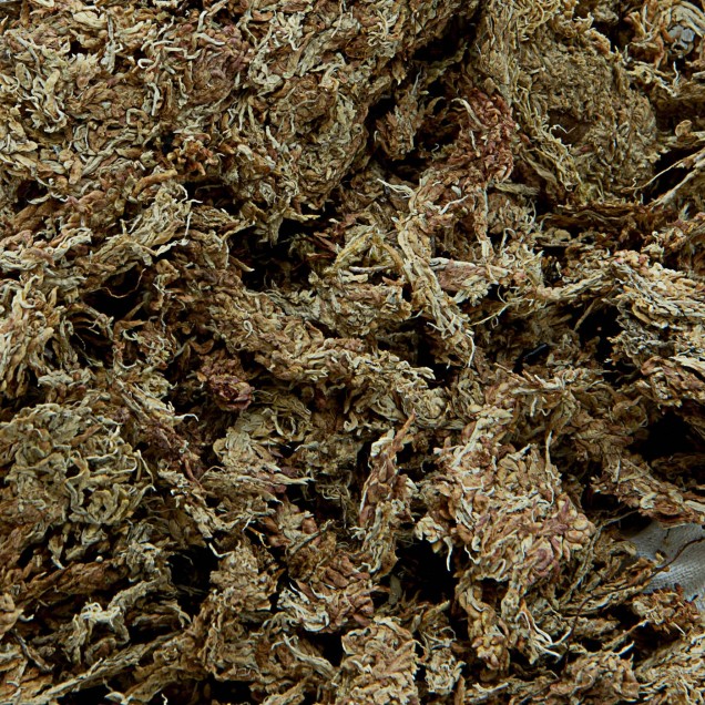 Sphagnum deshidratado Fibras largas