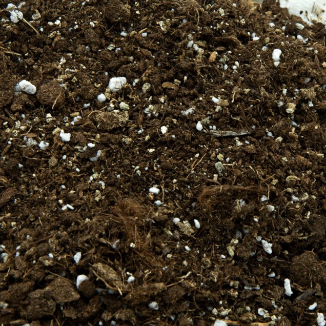 Sustrato Utricularia