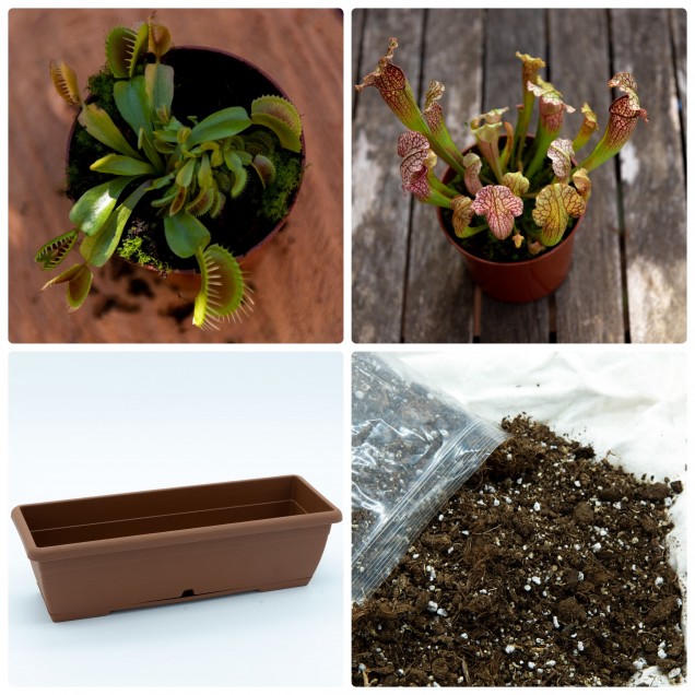 Jardín Supremo 4 Plantas