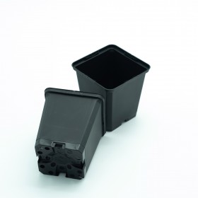 Maceta cuadrada 9x9x9.5 cm (0.5 Litros)